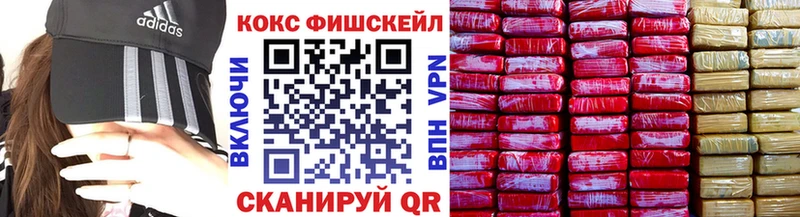 купить закладку  Черноголовка  Cocaine Эквадор 