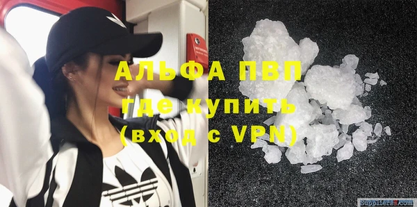 спиды Белокуриха