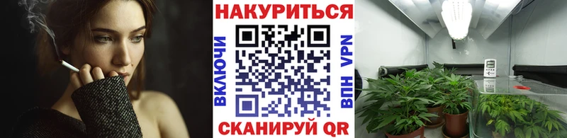 как найти наркотики  Черноголовка  Марихуана Amnesia 